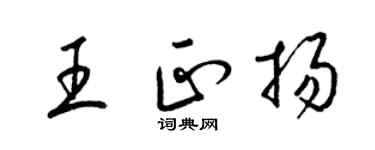 梁锦英王正扬草书个性签名怎么写
