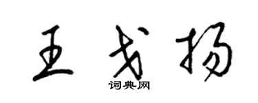 梁锦英王戈扬草书个性签名怎么写