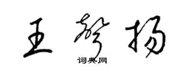 梁锦英王声扬草书个性签名怎么写