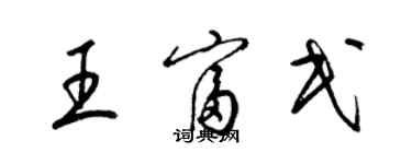 梁锦英王富民草书个性签名怎么写