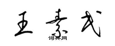 梁锦英王素民草书个性签名怎么写