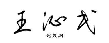 梁锦英王沁民草书个性签名怎么写