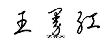梁锦英王曼红草书个性签名怎么写