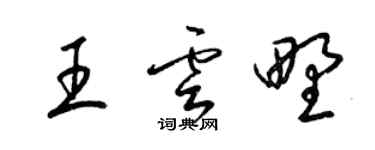 梁锦英王云野草书个性签名怎么写