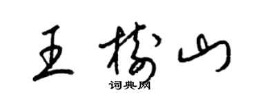 梁锦英王树山草书个性签名怎么写