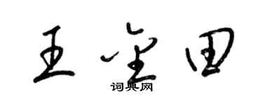 梁锦英王金田草书个性签名怎么写