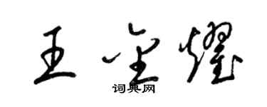 梁锦英王金耀草书个性签名怎么写