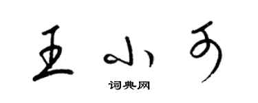梁锦英王小可草书个性签名怎么写