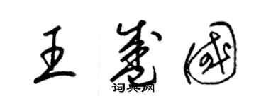 梁锦英王盛国草书个性签名怎么写