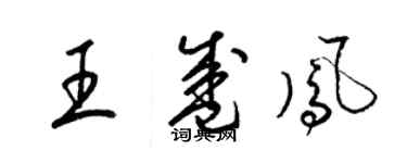 梁锦英王盛凤草书个性签名怎么写