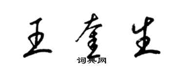 梁锦英王奎生草书个性签名怎么写