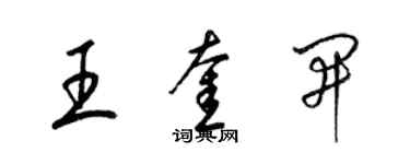 梁锦英王奎开草书个性签名怎么写