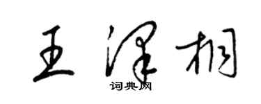 梁锦英王泽桐草书个性签名怎么写