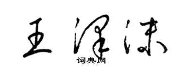 梁锦英王泽沫草书个性签名怎么写