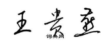 梁锦英王贵燕草书个性签名怎么写