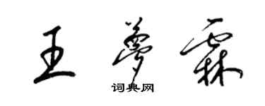 梁锦英王梦霖草书个性签名怎么写