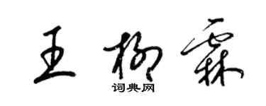 梁锦英王柳霖草书个性签名怎么写