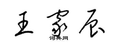 梁锦英王家辰草书个性签名怎么写