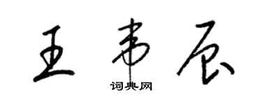 梁锦英王韦辰草书个性签名怎么写