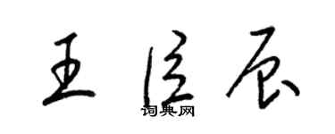 梁锦英王臣辰草书个性签名怎么写