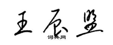 梁锦英王辰盟草书个性签名怎么写