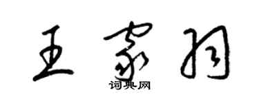 梁锦英王家羽草书个性签名怎么写
