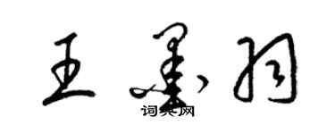 梁锦英王墨羽草书个性签名怎么写