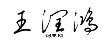 梁锦英王润鸿草书个性签名怎么写