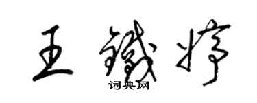 梁锦英王铁婷草书个性签名怎么写