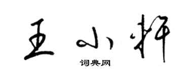 梁锦英王小轩草书个性签名怎么写