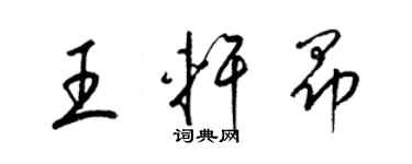 梁锦英王轩昂草书个性签名怎么写
