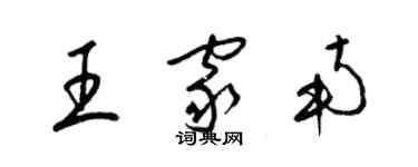 梁锦英王家南草书个性签名怎么写