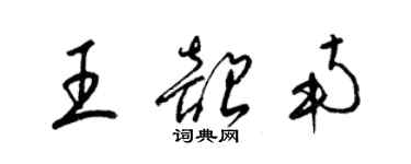 梁锦英王韶南草书个性签名怎么写