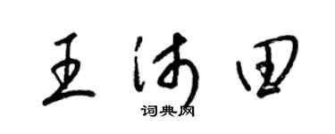 梁锦英王沛田草书个性签名怎么写