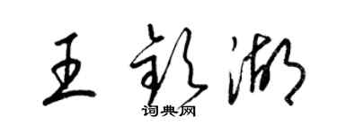 梁锦英王钦湖草书个性签名怎么写
