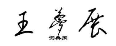梁锦英王梦展草书个性签名怎么写