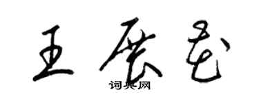 梁锦英王展花草书个性签名怎么写