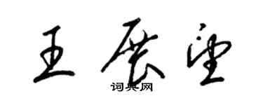 梁锦英王展望草书个性签名怎么写