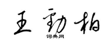 梁锦英王劲柏草书个性签名怎么写