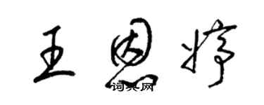 梁锦英王恩婷草书个性签名怎么写