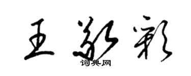 梁锦英王敬彩草书个性签名怎么写
