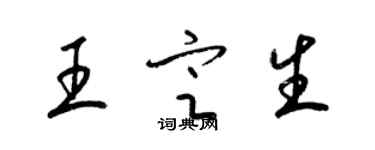 梁锦英王定生草书个性签名怎么写