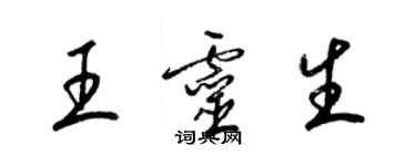 梁锦英王灵生草书个性签名怎么写