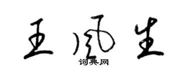 梁锦英王风生草书个性签名怎么写