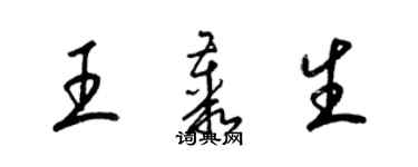 梁锦英王丛生草书个性签名怎么写