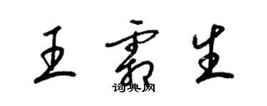 梁锦英王霜生草书个性签名怎么写