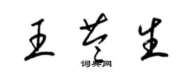 梁锦英王苓生草书个性签名怎么写