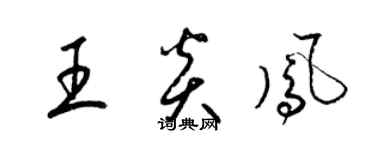 梁锦英王炎凤草书个性签名怎么写
