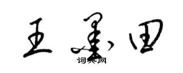 梁锦英王墨田草书个性签名怎么写