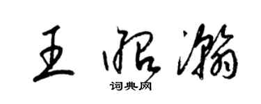 梁锦英王昭瀚草书个性签名怎么写